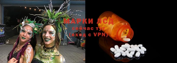 трава Бородино