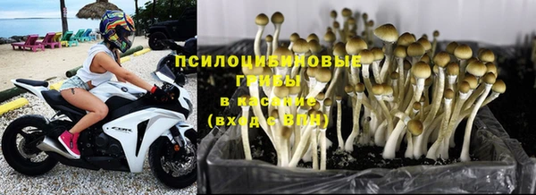 винт Бугульма
