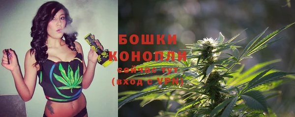 трава Бородино
